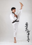 연세서부태권도장
