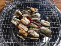 마산본장어