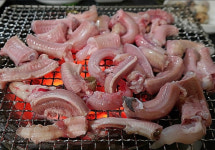 마산본장어