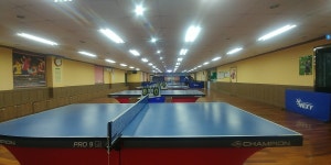 러브올 탁구교실