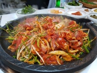 우리정
