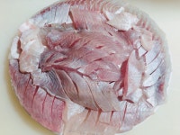 마산본장어