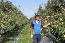 양지사과 덕풍농원