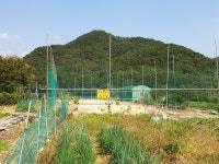 선동꿩집