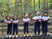 섬머힐유치원