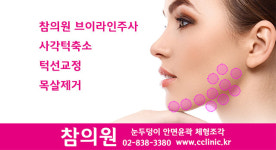 참의원