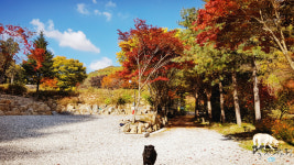 달재오토캠핑장