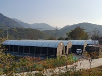 버섯조농장