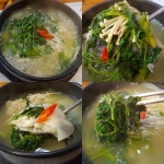 싱싱회예찬