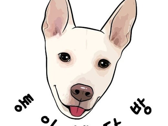 통이네다방