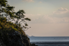 숲속의정원펜션