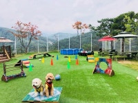 팰리스펜션