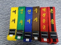 용인대단재태권도