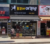 초코네애견샵