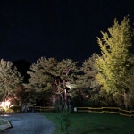 서종힐링캠핑장