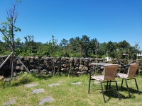 나무처럼 게스트하우스