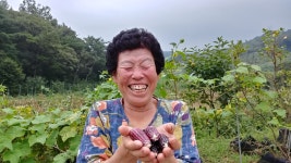 젊은미소농장