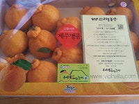 VIP한라봉농장