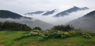 옥수골해마루농장