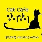 양이양이