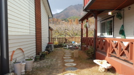 황금부엉이펜션 식당