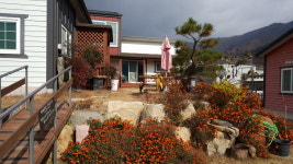 황금부엉이펜션 식당