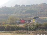 황금부엉이펜션 식당