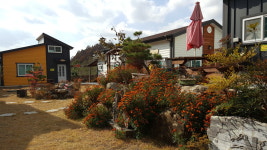 황금부엉이펜션 식당