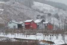 황금부엉이펜션 식당