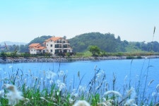 안면도힐링펜션