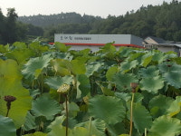 곡성연영농조합법인