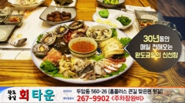 완도금일회타운