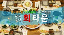완도금일회타운