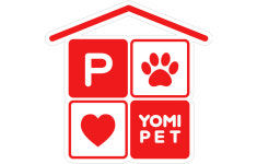 제주 강아지분양 애견샵 요미독 제주점