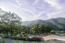 창원휴양림오토캠핑장