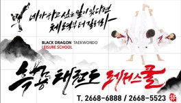 흑룡태권도 레저스쿨