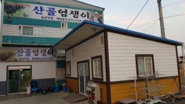 산골염생이