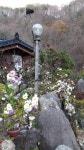 지리산들꽃산방한옥계곡펜션