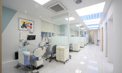 세인트루이스치과의원