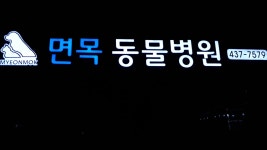 면목동물병원
