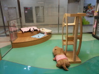 오션시티동물병원