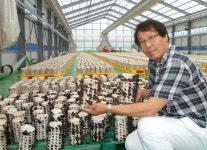 농업회사법인 버섯고향