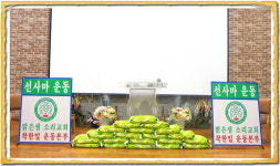 맑은샘소리교회