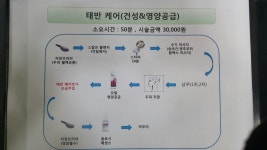 옻 안타는 천연염색 불광점