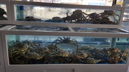 삼천포해물탕