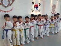 경희대석사태권도