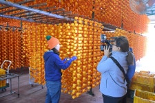 상주아람곶감 영농조합법인