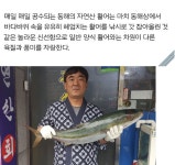 자연산회