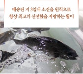 자연산회