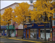 경동나비엔 대구남동구대리점